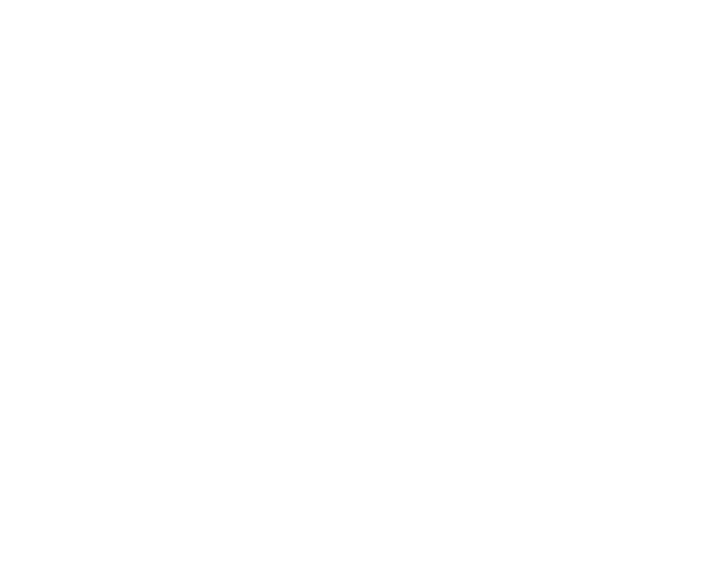 logo_light